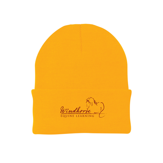 Knit Beanie